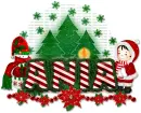 Ania-Christmas Letters