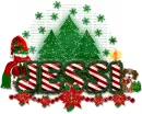 Jessi-Christmas letters