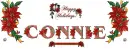 Connie poinsettia