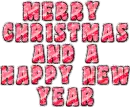 Merry Christmas/Happy New Year