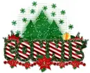 Connie-Xmas tree letters