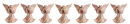 Angel statue divider