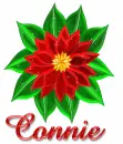 Connie