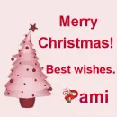 Christmas - Pami