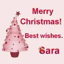 Christmas - Sara