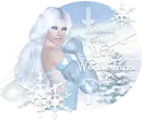 Welcome to my winter wonderland