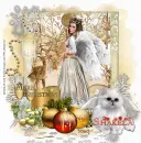 Golden Christmas_Shakela