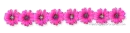 Pink Flower
