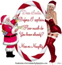 Dear Santa