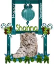 Happy December- Shonna