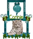 Happy December- Connie