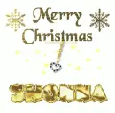 XMAS DIAMOND HEART - SHONNA