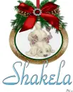 Shakela
