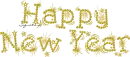 Happy new year