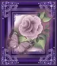 Flower And Butterfly