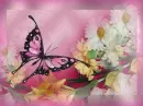 Pink Is Elegance