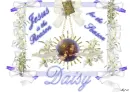 Daisy