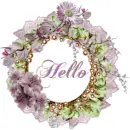 Hello