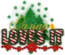 Carina loves it (Christmas)