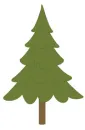 Winter Tree