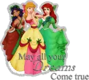 May Your Dreams Come True Disney Princesses