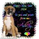 New Year Boxer Puppy 2014 - Ashley