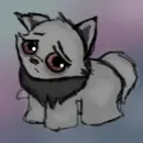 Wocky