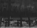 Dark Ghosts