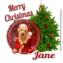 Merry Christmas Doggie - Jane
