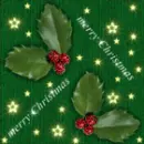 Christmas Shiny stars