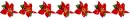 Dividir - poinsettia -