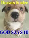 PUPPY WITH A MESSAGE