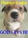 PUPPY MESSAGE