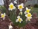 Bouquet for You