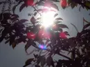 Blinded by the Light