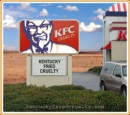 Kentucky Fried Cruelty