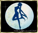 Sailor Moon Shadow