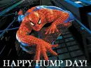 Happy Hump Day