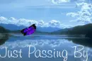 Butterfly passing by