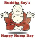 Happy Hump Day Buddha