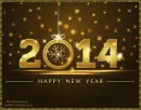 New Year 2014