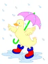 Rain Day Duck
