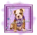 Cute Doggie - Jane