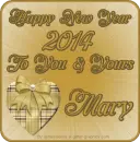 New Year 2014 - Mary