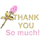 Thank you so much!