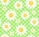 Flowers Background