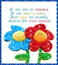 Glitter Graphics