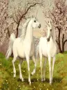 Sweet Unicorns