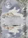 Angel's Dreams