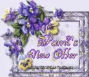 Pami's New Offer - nwof